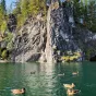 Карельские пейзажи на ретропоезде. Лайт (зима)