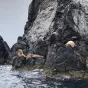 Чудеса приморского края