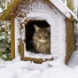 Сказки Зеленоградска